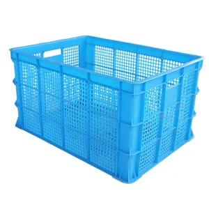 最佳价格蓝色水果塑料容器，带孔塑料容器