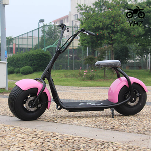 CEE Harley ciudad Coco 800 W (YHZ-DZ-050) - Product Image 4