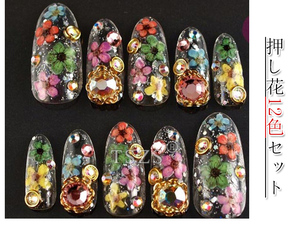 TSZS 12 color seca <span class=keywords><strong>Flor</strong></span> <span class=keywords><strong>de</strong></span> <span class=keywords><strong>uñas</strong></span> arte flores secas para <span class=keywords><strong>uñas</strong></span> decoraciones - Product Image 4