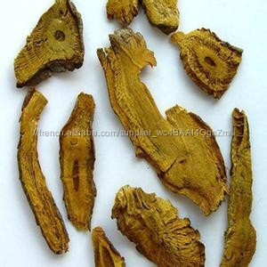 Gmp naturel de haute qualité Tran - resvératrol / géant <span class=keywords><strong>renou</strong></span>ée extrait poudre - Product Image 5