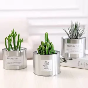 Groothandel Custom Lege Desktop Staal Kleine Metalen Mini Metal Plant Cactus Pot