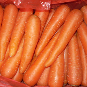 All'ingrosso fresco carota con il prezzo basso - Product Image 2