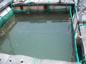 Criação de peixes de aquicultura gaiolas/mar rede de pesca gaiola de tilápia. Tamanho 216 mametros cúbico ou 432 medidor cúbico. jaula de tilapia pesca.