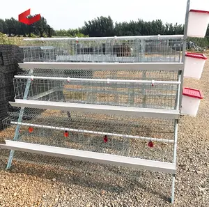 Jaula automática para gallinas ponedoras, para venta en granja avícola de Kenia