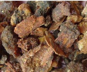 Bubuk Gula Myrrh Commiphora Molmol Berkualitas Tinggi Alami dari Afrika, Bukan Ekstrak - Product Image 2