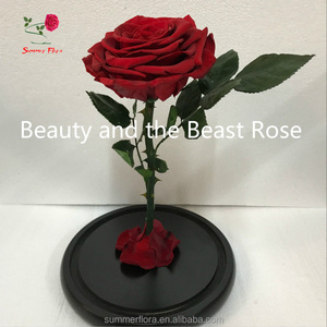 Fleurs préservées en gros dans du verre, tête de <span class=keywords><strong>rose</strong></span> de 10 cm, décoration florale, roses préservées - Product Image 4