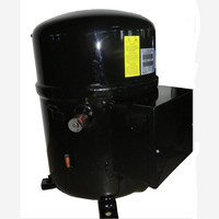 Usa Bristol Compresor de pistón Modelos H2NG204DREF Compresor de aire acondicionado trifásico Bristol Compresor de refrigeración Marcas