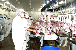 Table de travail en acier inoxydable etabli pour sortir Poulet Organes abattoir - Product Image 6
