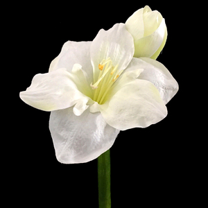 Hoa Nhân Tạo Sắp Xếp <span class=keywords><strong>Amaryllis</strong></span> Đỏ Cho Hoa Cưới Bó Hoa - Product Image 3