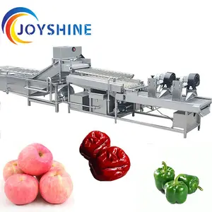 JOYSHINE group exported to USA 500kg per hour washing production line mango washing machine