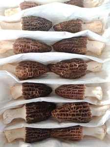 <span class=keywords><strong>Morilles</strong></span> séchées à <span class=keywords><strong>prix</strong></span> d'usine, champignons Morchella - Product Image 3