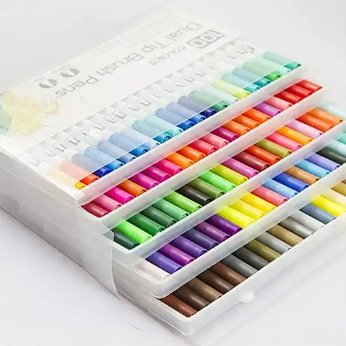 Premium Dual Tip Brush Markers,12 Color, Non-Toxic Water Based Double Tip Pens