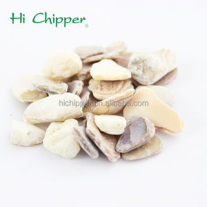 Hola Chipper aplastado <span class=keywords><strong>madre</strong></span> de perla shell chips para ingeniería de piedra Decoración - Product Image 4