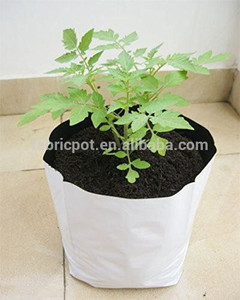 พลาสติกสีขาวและสีดำเนอสเซอรี่ PE เติบโตถุงสำหรับการเจริญเติบโตและต้นกล้า Hydrophonic ผู้ผลิต - Product Image 2