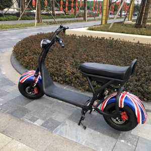 สกู๊ตเตอร์ไฟฟ้า 2019 COC / EEC 1500W L1e-<span class=keywords><strong>B</strong></span> ระยะทางสูงสุด 45 / 25 กม. - Product Image 6