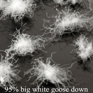 En gros 95% duvet d'oie blanche norme européenne - Product Image 2