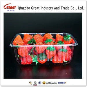 Huisdier Plastic Verse Fruit Container Trays Verpakking Voor Aardbei