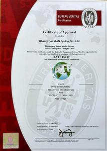 molla a gas bloccabile con dispositivo di controllo - Product Image 4