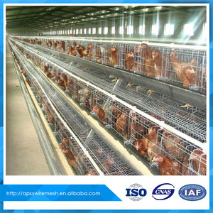 Batería de pollo jaula para gallinero de tipo pirámide - Product Image 6