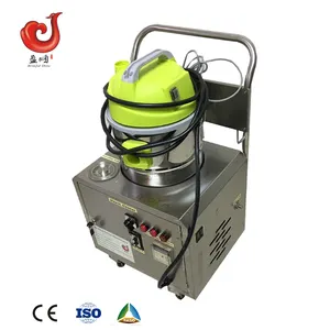 Nettoyeur de vapeur électrique portable, à vapeur sèche, capacité de 2 kw, 3kw/4kw/6kw, usage commercial et industriel