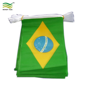 Brazil National <strong>String</strong> <strong>Bunting</strong> <strong>Flags</strong> for Festivals Popular Festival Decoration Product - Product Image 3