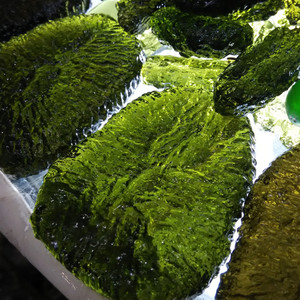 Fantasy Moldavite Semi Preziose Pietre Per Monili Allentati Della <span class=keywords><strong>Pietra</strong></span> Preziosa - Product Image 3
