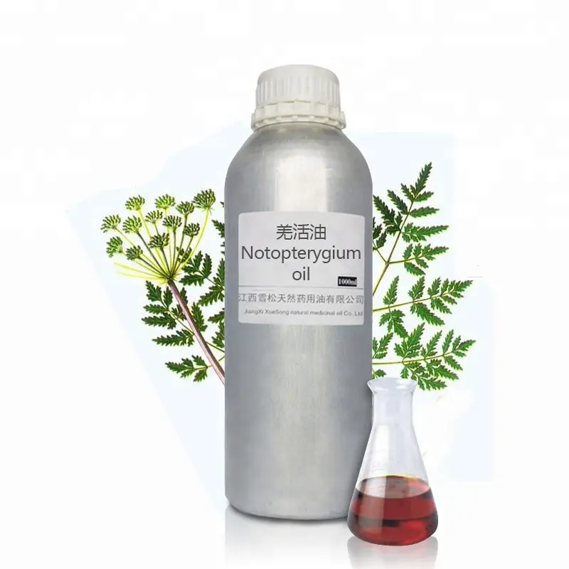 100% pure natural notopterygium oil for sale