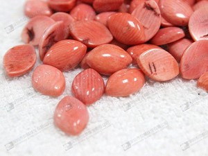 Venta al por mayor de coral natural - Product Image 3