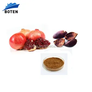 Boten Fournisseur de 10%-90% Acide ellagique/Polyphénols/Punicalagin Pomegranated Peel Extrait Poudre