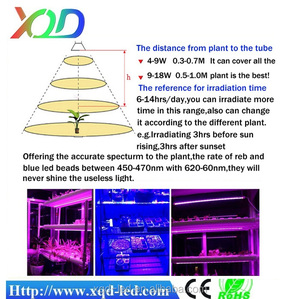 Shenzhen XQD poder más elevado 12 W Nova led crece luces para las plantas - Product Image 6