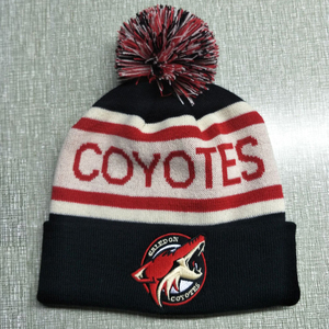 Winter niedlichen benutzer definierten Jacquard Beanie Hut Katze Ohr Mädchen Baby Beanie Hut - Product Image 6