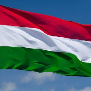 Custom Made Different Types National Country Hungary Red White Green Flag