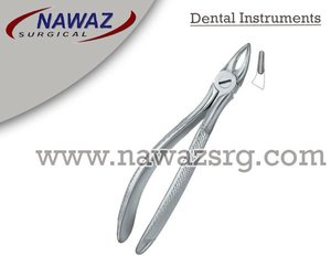 Produits de logo personnalisé de haute qualité Forceps d'extraction de dents dentaires Fig.30 S Instruments dentaires en acier inoxydable - Product Image 2