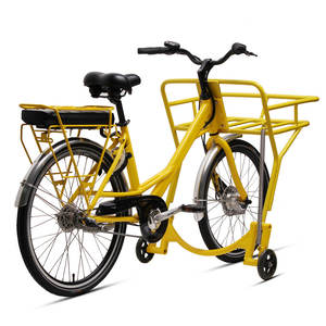 Vélo électrique TXED 36V avec grand panier, moteur puissant de 250W, batterie au lithium, cadre en acier et alliage d'aluminium, vélo électrique de livraison - Product Image 3