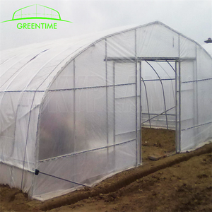 Hot koop enkele overspanning agrarische gebruikt commerciële kas - Product Image 5