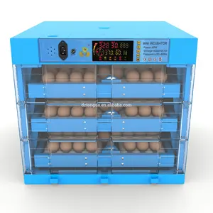 Plastic PVC Automatic 110V 220V 12V AC DC Dual Power 60 Mini Egg Incubator