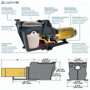 <span class=keywords><strong>HAYWARD</strong></span> 1.5HPウォーターポンプ電動ウォーターポンププール用 - Product Image 5