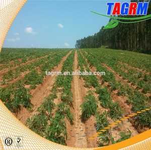Iso9001standard 2AMSU regar ridging tipo 2 rows plantar máquina <span class=keywords><strong>de</strong></span> semillas - Product Image 2