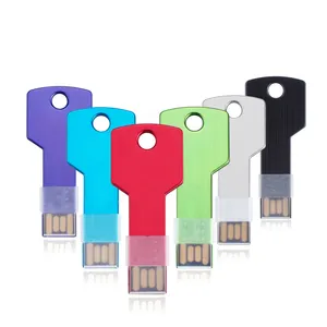 Advertising Usb USB Key With Custom Logo/Wholesale Key Shape USB Flash Drive For Advertising