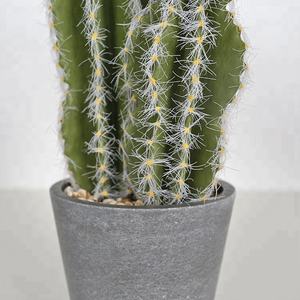 Verde <span class=keywords><strong>Opuntia</strong></span> 25cm <span class=keywords><strong>Cactus</strong></span> nuevo <span class=keywords><strong>Cactus</strong></span> Oficina <span class=keywords><strong>Cactus</strong></span> realista - Product Image 4