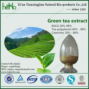 Китайский экстракт зеленого чая