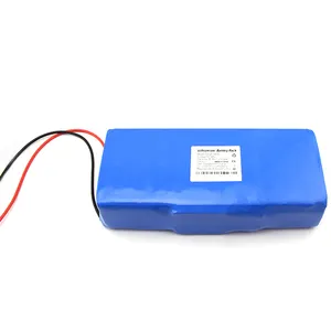 Hệ Thống Sạc Thông Minh Xe Đẩy Điện 24V 10ah Pin Lithium 6ah