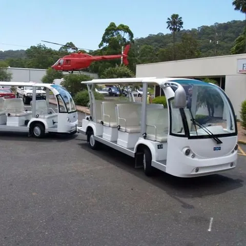 Eléctrico completo minibus/Turismo de golf con remolque para turista EG6158T