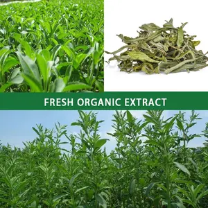 HONGDA Factory Wholesale Stevia Sugar Stevia Sugar Sweetener Stevia Extract