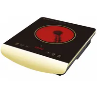 Solar powered electric stove with 110V/220V