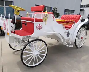 OEM özel taşıma düğün elektrikli at çizilmiş taşıma/kraliyet beyaz at arabası/avrupa taşıma