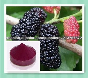 muestra gratis extracto de la mora - Product Image 1