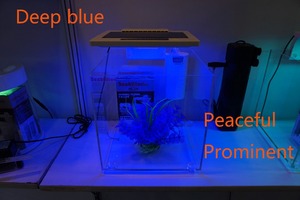 Vierkant mini aquarium van acryl, kubusvormig met led-verlichting - Product Image 3