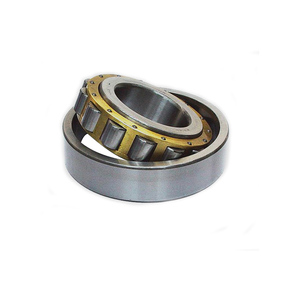 Rodamiento de Rodillos Reductor Excéntrico Cilíndrico RN307M 502307H - Product Image 5