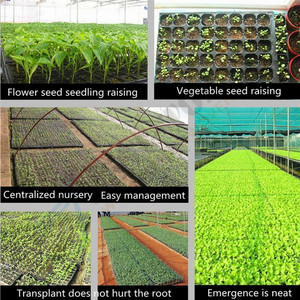 Verde crecer de <span class=keywords><strong>108</strong></span> células bandeja semillero se exportan a Ghana con precio barato - Product Image 5
